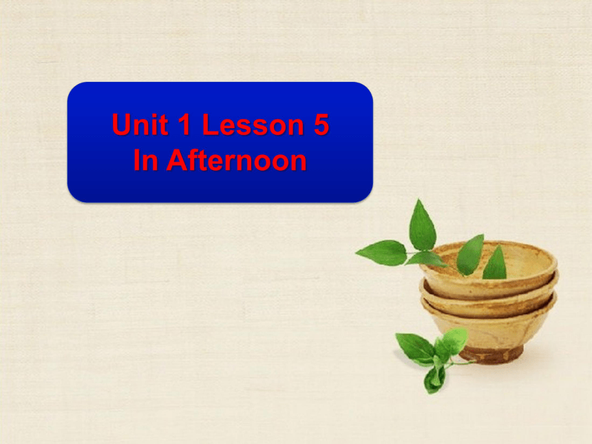 Lesson 5 In the Afternoon 课件