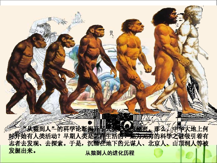 第1课 中国境内早期人类的代表—北京人 课件（共41张PPT）