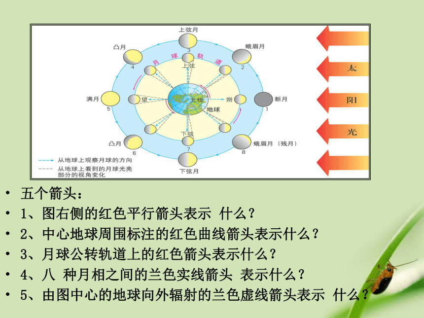 科学五年级上苏教版1.4看月亮