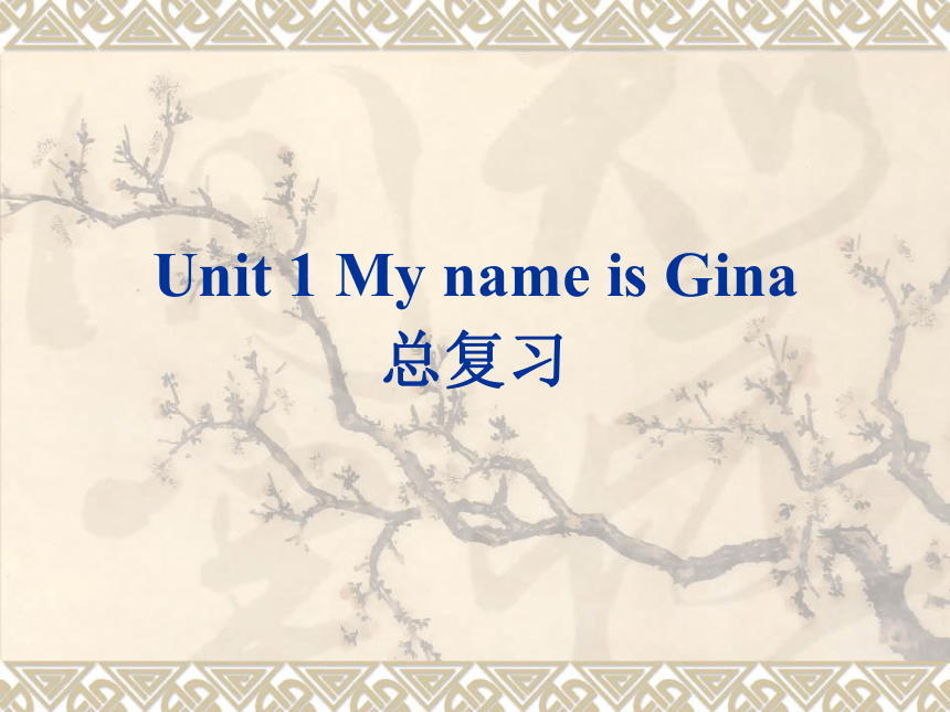 Unit 1 My name’s Gina.复习课件