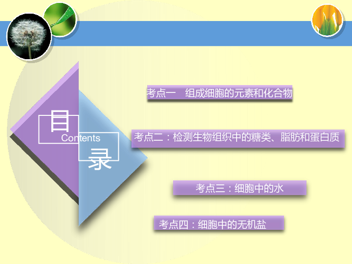 人教版生物必修一第二章元素和化合物（含无机盐）课件PPT（共26张PPT）