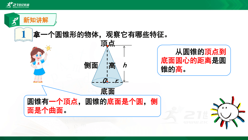 3.2.1圆锥——圆锥的认识 同步课件