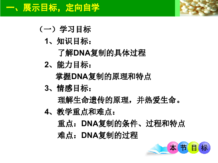 人教新课标高中生物必修二  3.3DNA分子的复制 课件（17张）