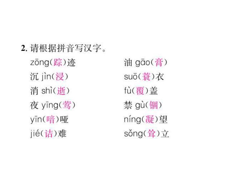 2017年春广东中考语文专题训练课件（一） 语音与汉字 （共35张PPT）