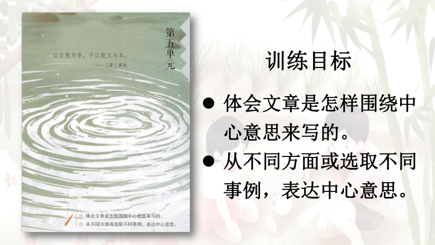 15 夏天里的成长 两课时  课件（共44张PPT）