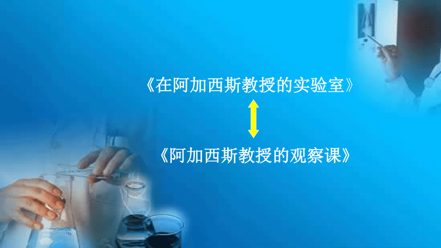 初中语文苏教版七年级上册（2016年）在阿加西斯教授的实验室（10张ppt）