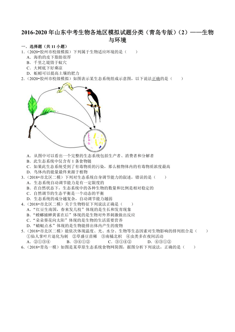 2016-2020年山东中考生物各地区模拟试题分类（青岛专版）（2）——生物与环境（word版含解析）