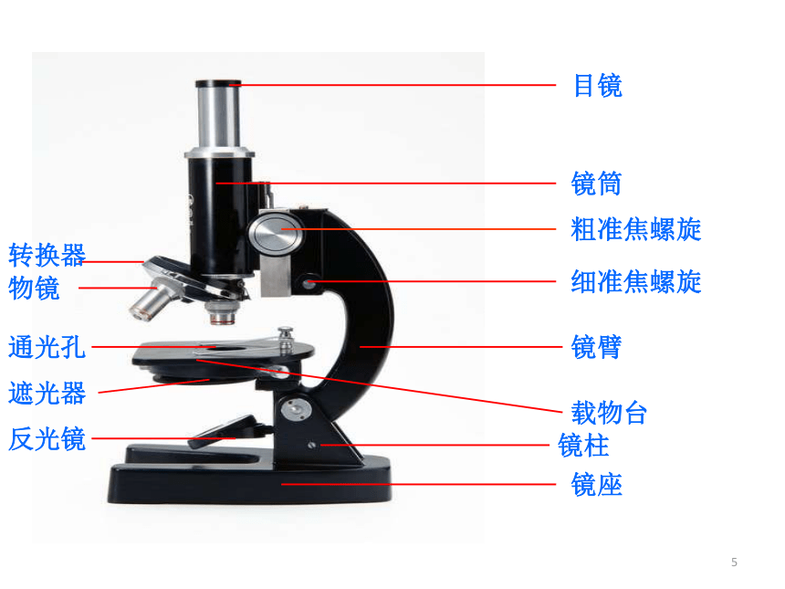 初中生物 苏科版 7年级上册第一章第二节 生物的基本研究方法 课件