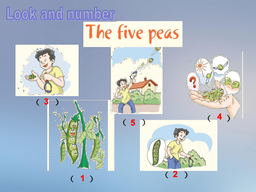 Unit 12 The five peas 第三课时课件