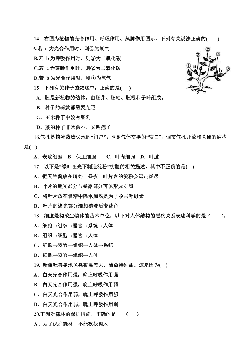 内蒙古赤峰市宁城县2017-2018学年七年级上学期期末考试生物试卷