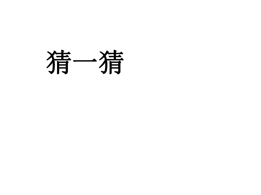 象鼻桥 课件1