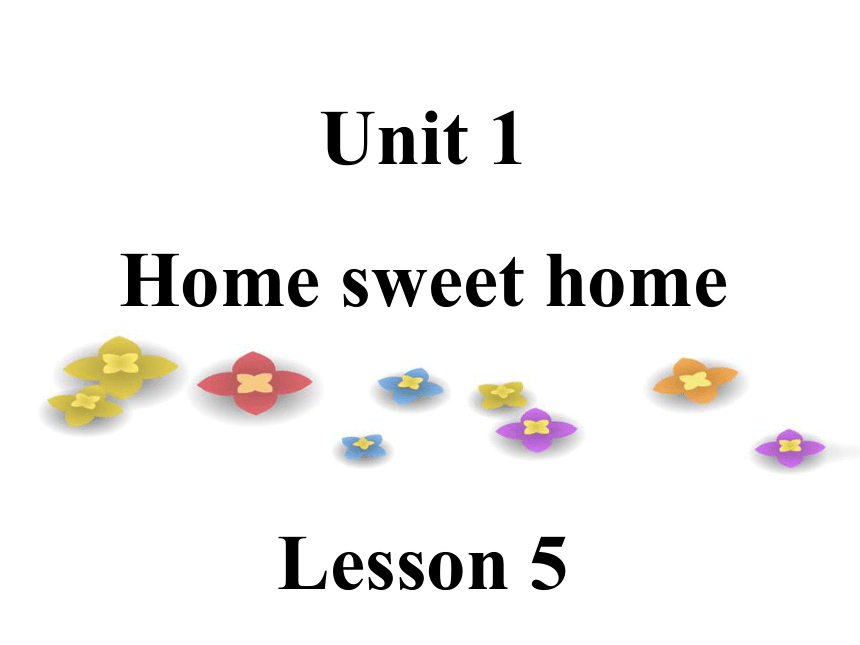 Unit 1 Home sweet home Lesson 5 课件