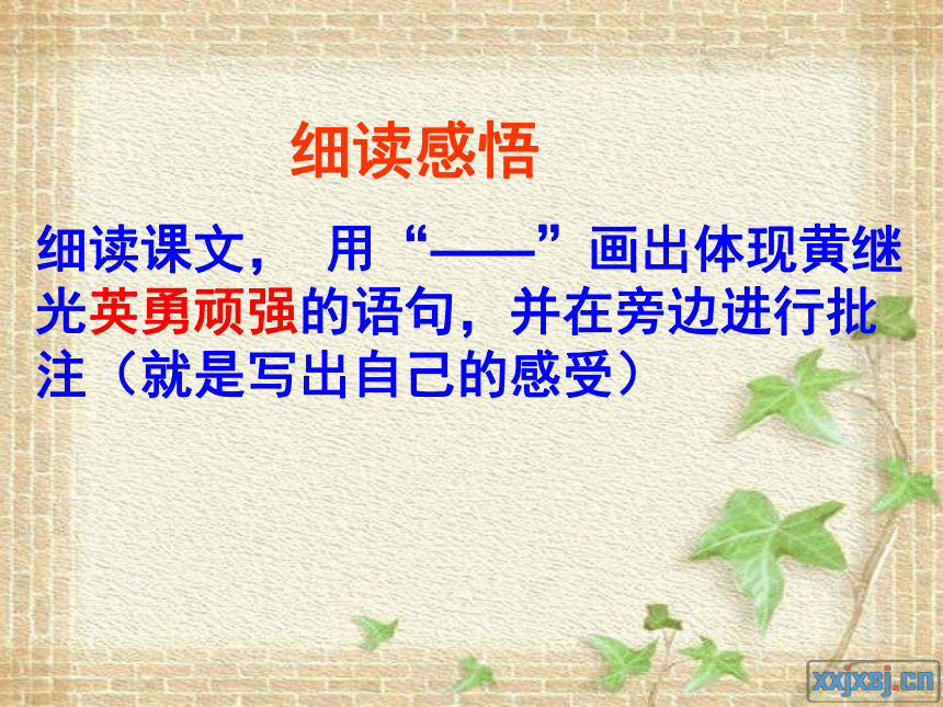 《黄继光》课件  (共16张PPT)