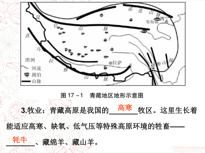 2018年中考地理总复习专题突破课件：专题十七青藏地区中国在世界中(共75张PPT)