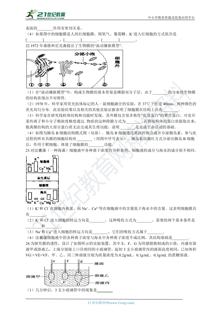 高中生物人教版新课标必修一第四章 物质的输入和输出 单元检测（含解析）