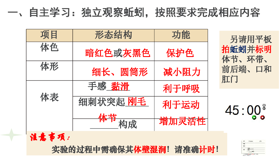 苏科版七下生物 13.1 土壤里的小动物 课件（15张PPT）