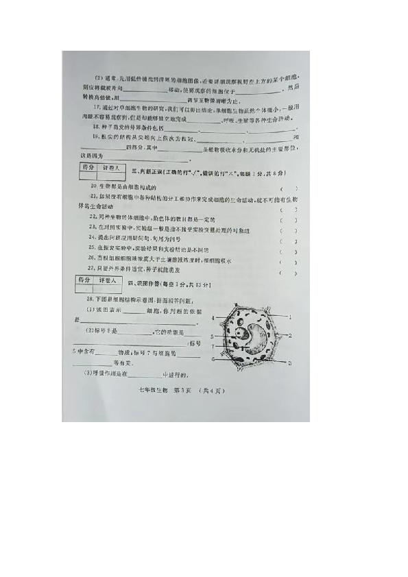 河南省洛阳市宜阳县2018-2019学年七年级上册期中生物试卷（图片版含答案） (6)