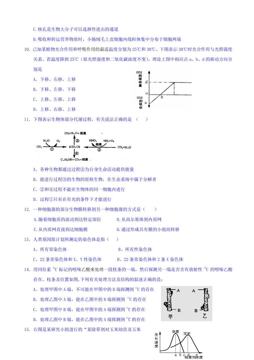 云南省腾冲市第八中学2016-2017学年高二下学期期中考试生物试题