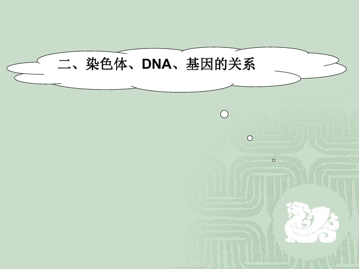 京改版八上生物  11.3 人类的遗传 课件(15张PPT)