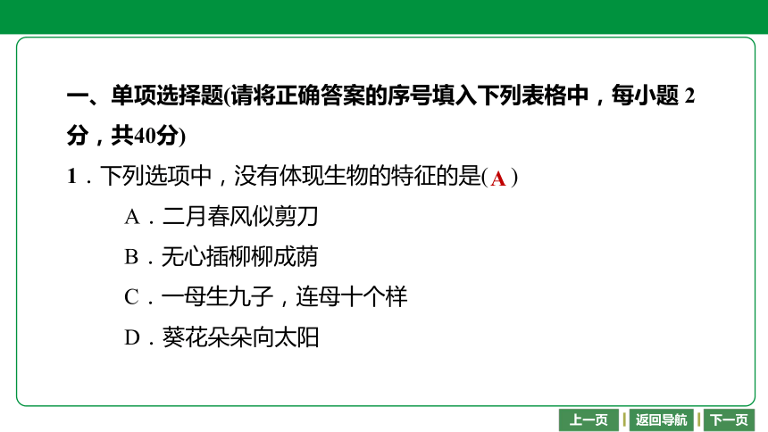 2021年四川省南充生物七年级上册综合检测卷 课件（35张PPT）
