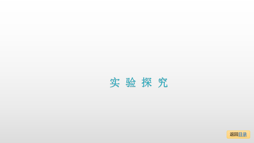 2021年中考一轮复习：实验探究 课件(共69张PPT)