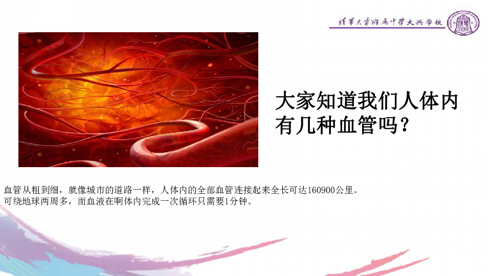 北京出版社七年级下册-5．2．2血管是血液循环流动的管道课件（25张ppt）
