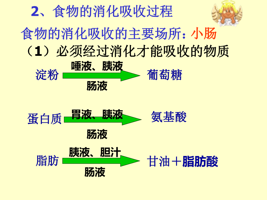 浙教版九年级上第四章第六节人体的新陈代谢(复习)[上学期]