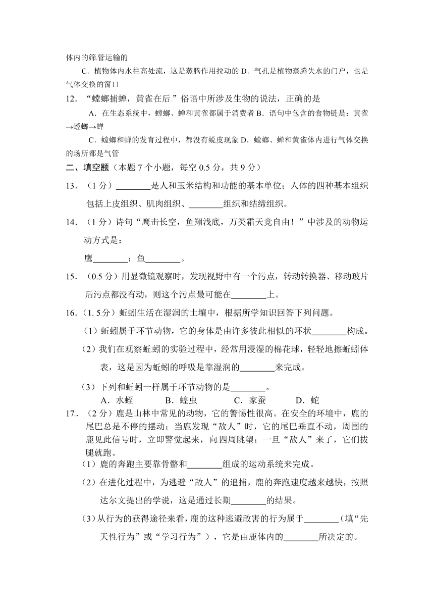 内蒙古海拉尔区第四中学2014届九年级11月月考生物试题（无答案）