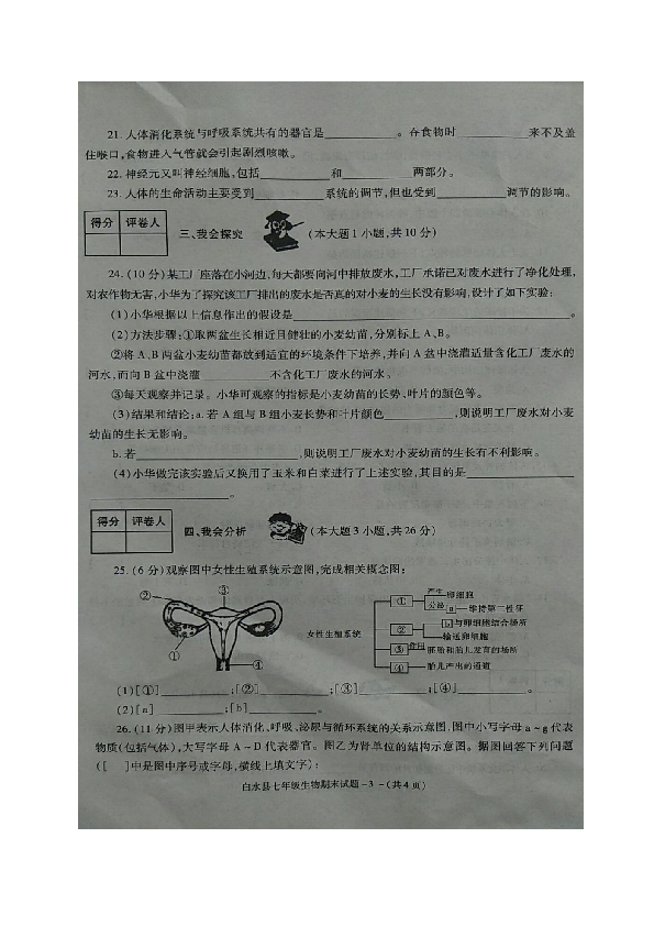 陕西省白水县2018-2019学年七年级下学期期末考试生物试题（图片版，无答案）