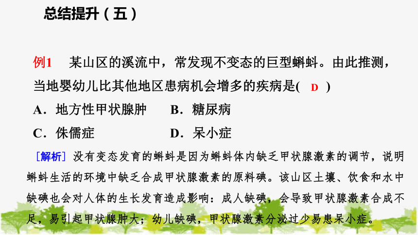 苏教版七年级生物下册 第十三章  人是生物圈中的一员   小结与复习课件(共38张PPT)