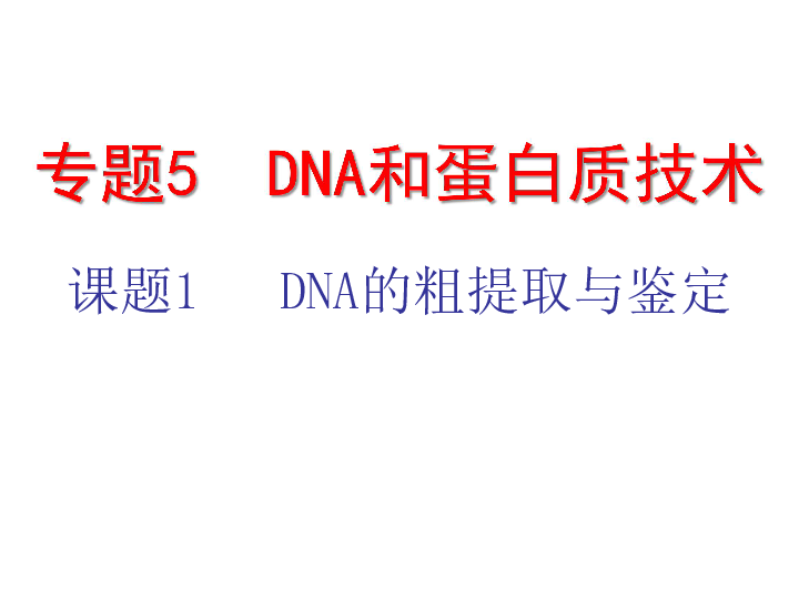 人教高中生物 选修一 专题五 课题1 DNA的粗提取与鉴定