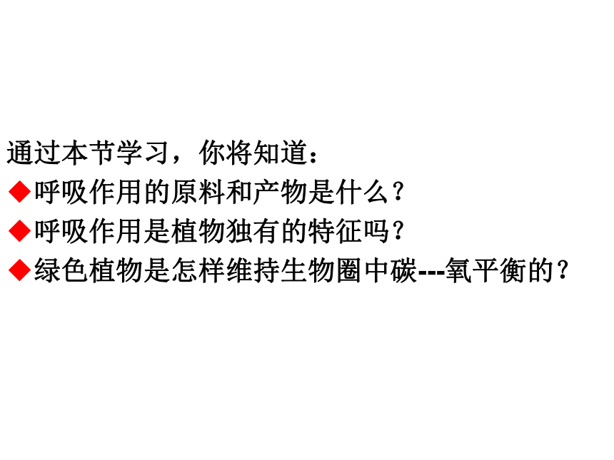 第三單元 第5章 第二節 綠色植物的呼吸作用(共38張ppt)-21世紀教育網