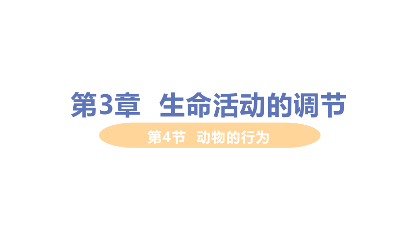 3.4动物的行为(课件 38张PPT)