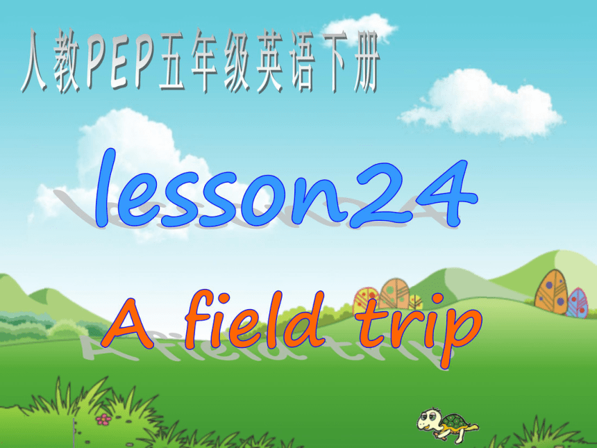 Unit 6 A Field Trip>Part A lesson24