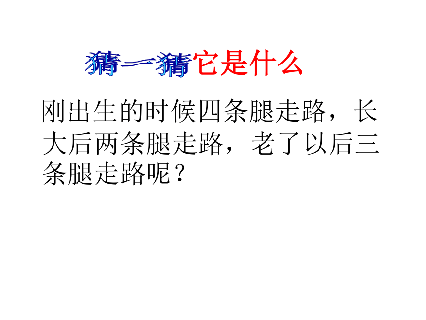 课件预览