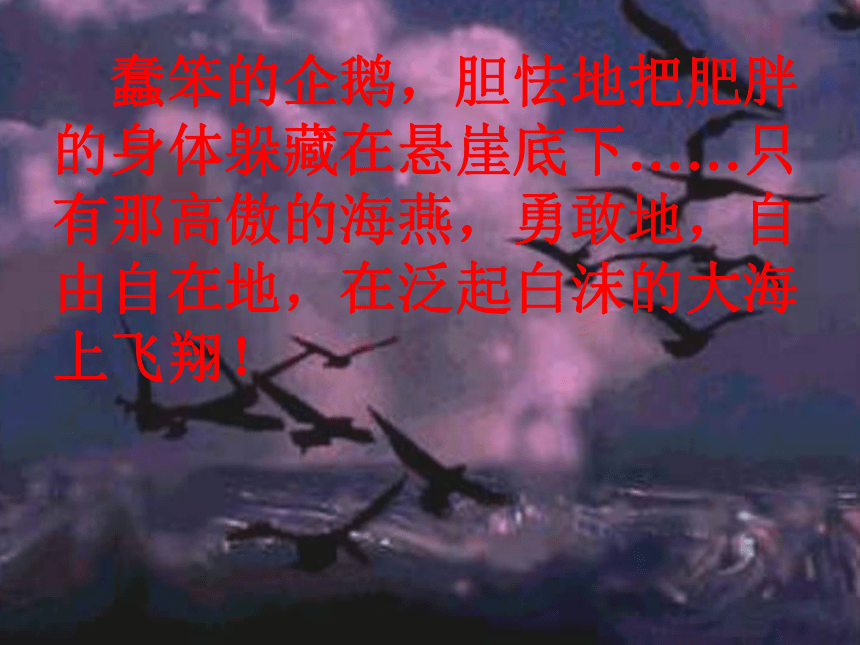 《海燕》获奖课件