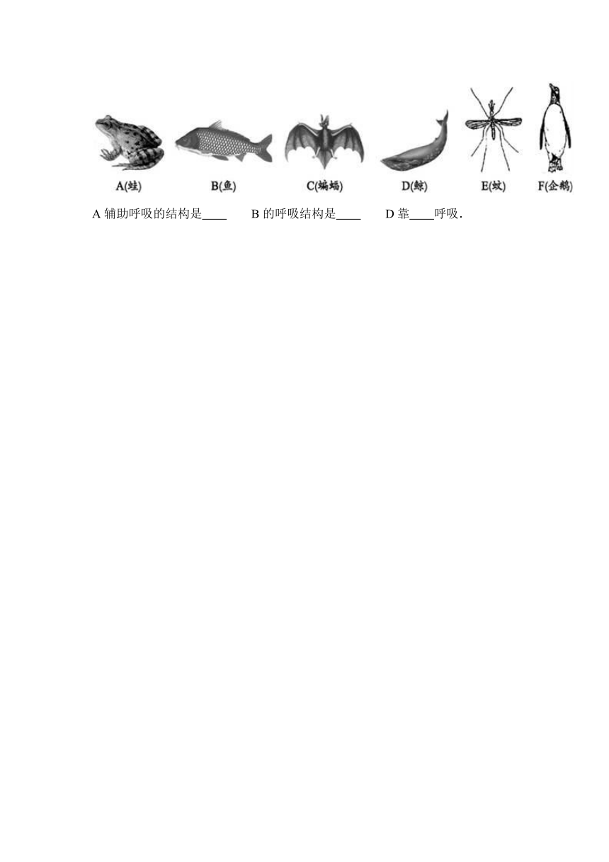 安徽省六安市裕安中学2016-2017学年八年级（上）期末生物试卷（解析版）