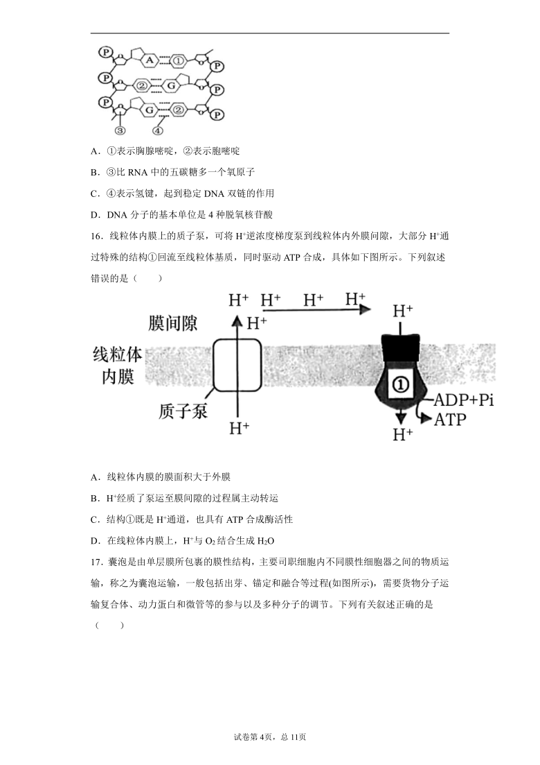 浙江省宁波市2020-2021学年高一下学期期中生物试题（word版 含解析）