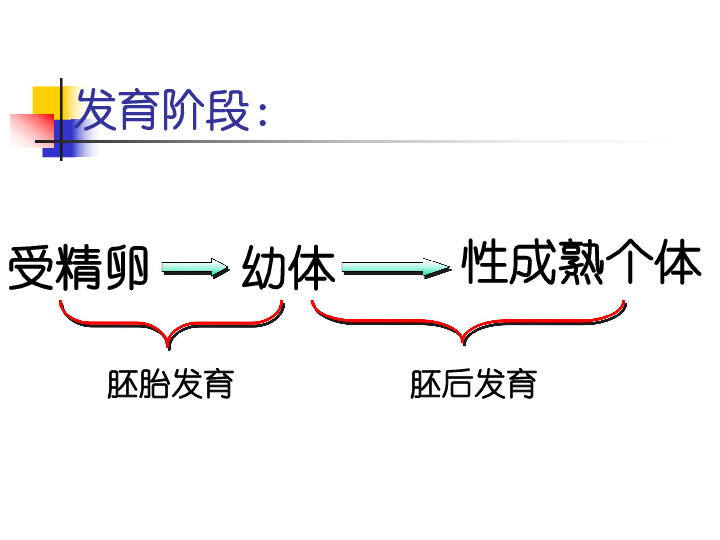 高等动物个体发育下载