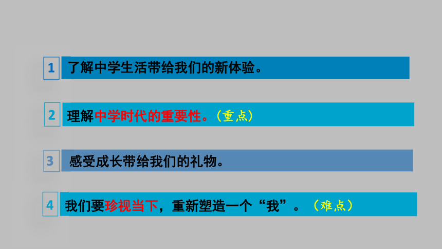 11中学序曲课件共22张