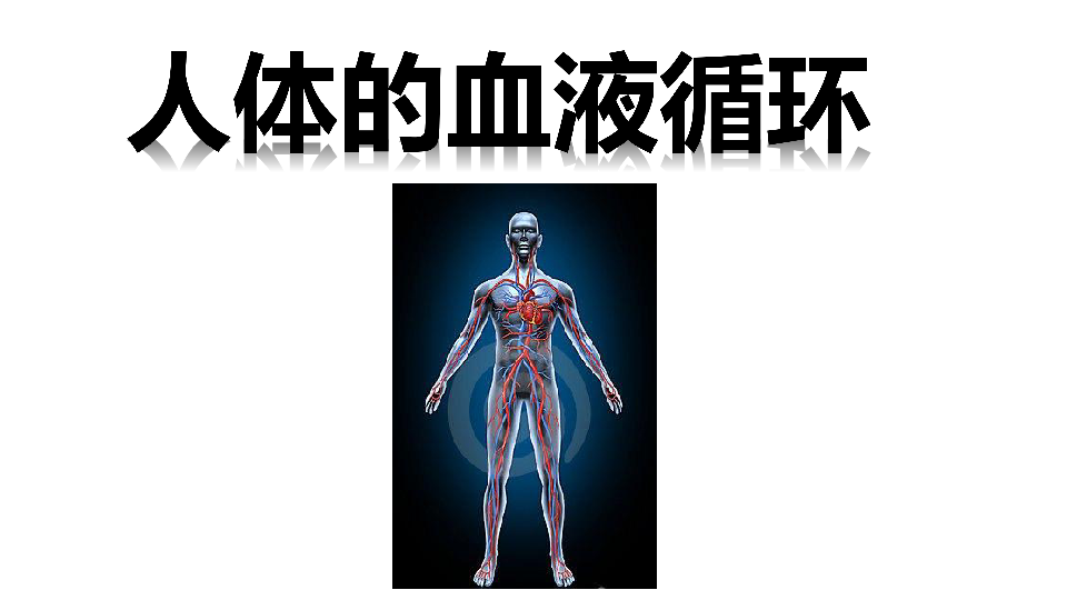 第四單元 生物圈中的人 第四章 人體內物質的運輸 第三節 輸送血液的