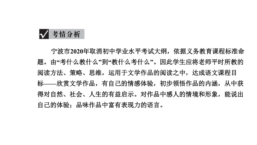 2021年浙江省中考语文一轮复习课件 考点五 文学类文本阅读（共103张PPT）