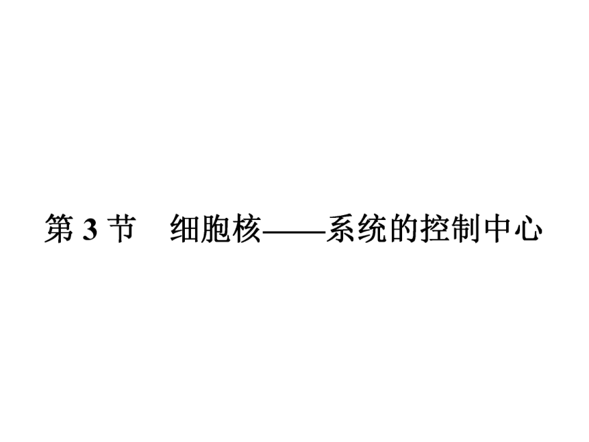 人教版生物必修1同步教学课件：3.3 细胞核——系统的控制中心