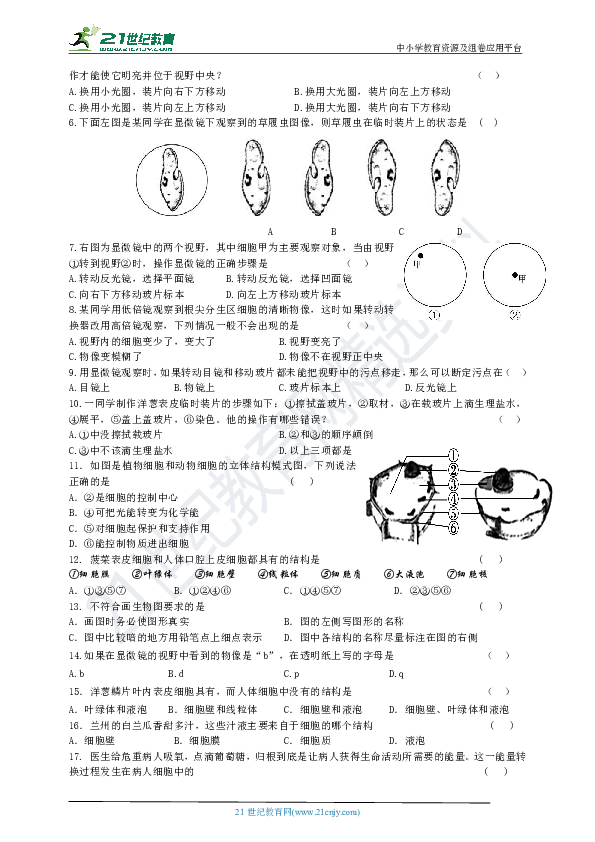 人教版初中生物（七上）总复习导学案第二单元第一章（含答案）