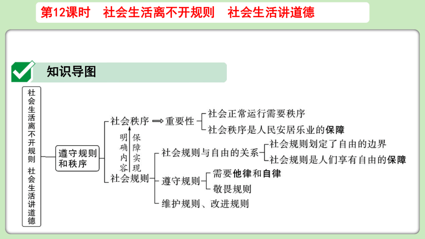 遵守社会规则思维导图图片