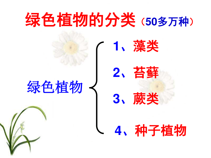 人教版生物七年级上3.1.1藻类、苔藓和蕨类植物 课件 （58张PPT）