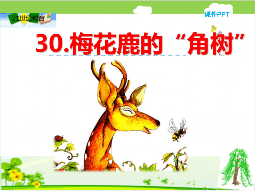 30梅花鹿的“角树”课件