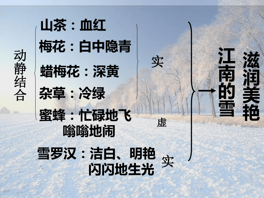 雪课件