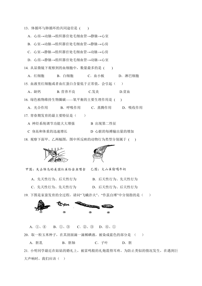 宁夏石嘴山市第十七中学2016-2017学年八年级上学期期末考试生物试题（无答案）