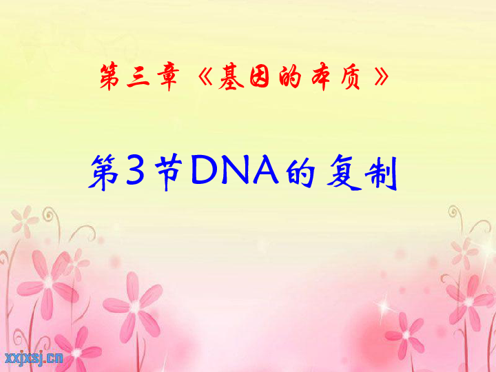 新人教版高中生物必修二3．3《DNA的复制》（共36张PPT）
